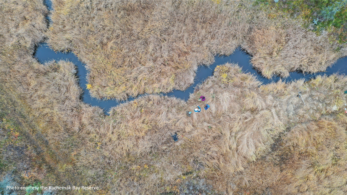 2023 Fourth Quarter Report An aerial shot of people walking along a creek running through marsh.