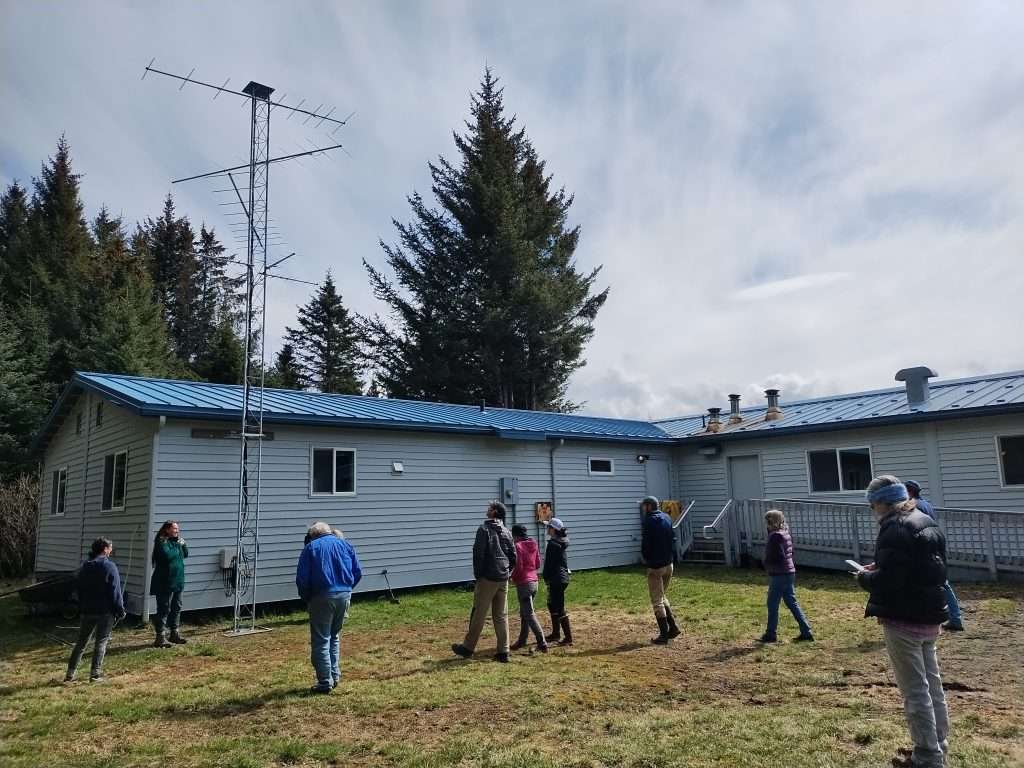 Homer Shorebird Festival participants stop by KBNERRs office to learn about the new Motus Tower.