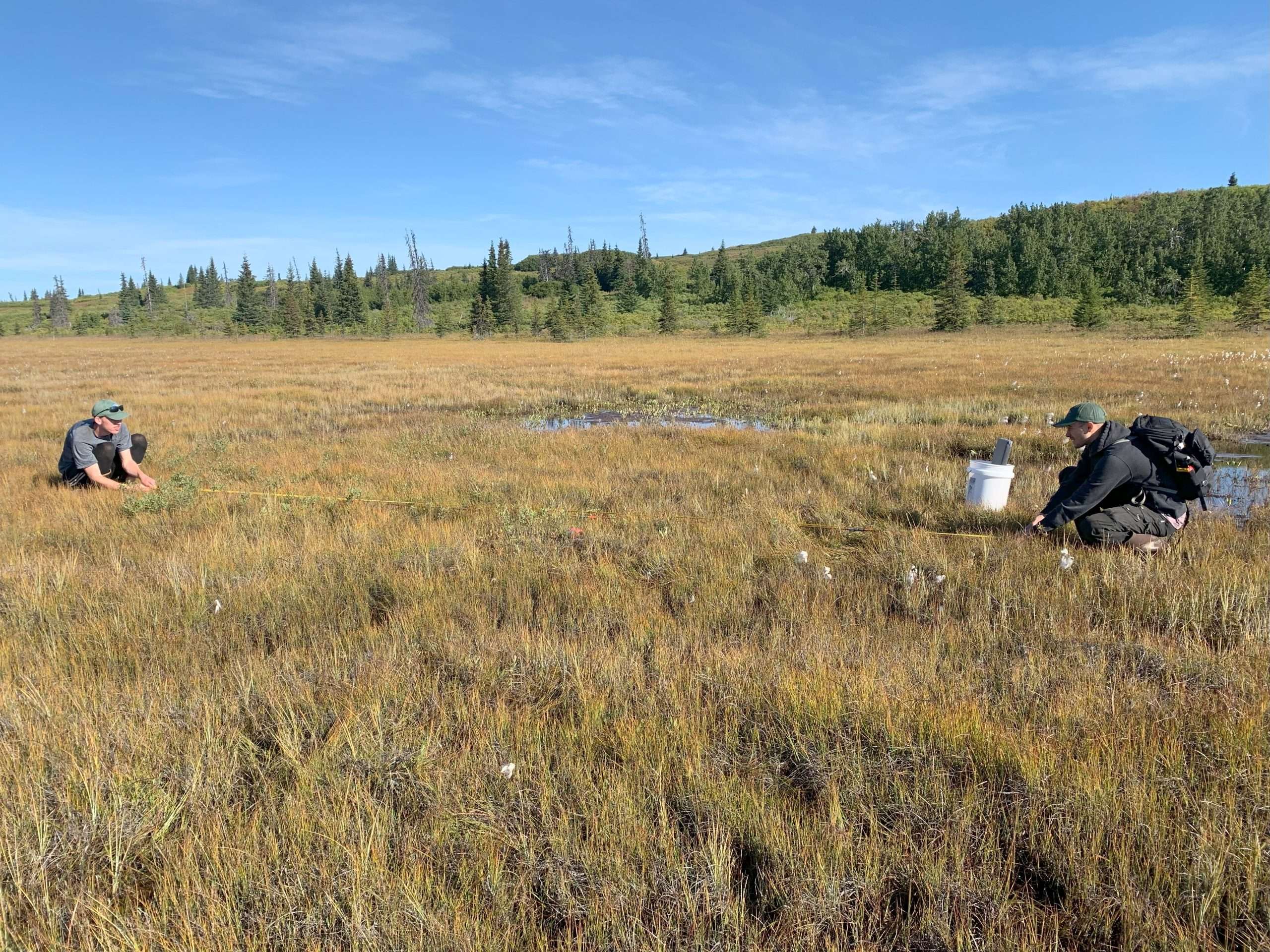 PeatlandMonitoring_Jacob_Spencer Two people collecting data in a peatland.