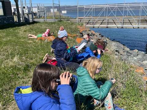 Jr. Birders participate during shorebird festival.