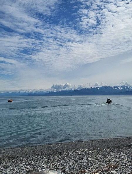 View of Kachemak Bay from Homer Harbor