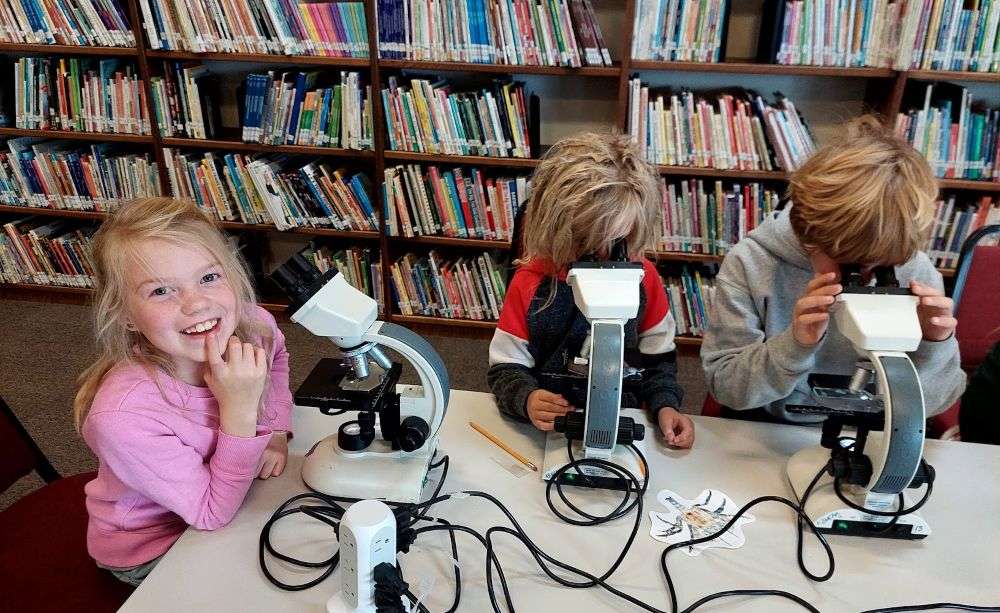 Students look in microscopes