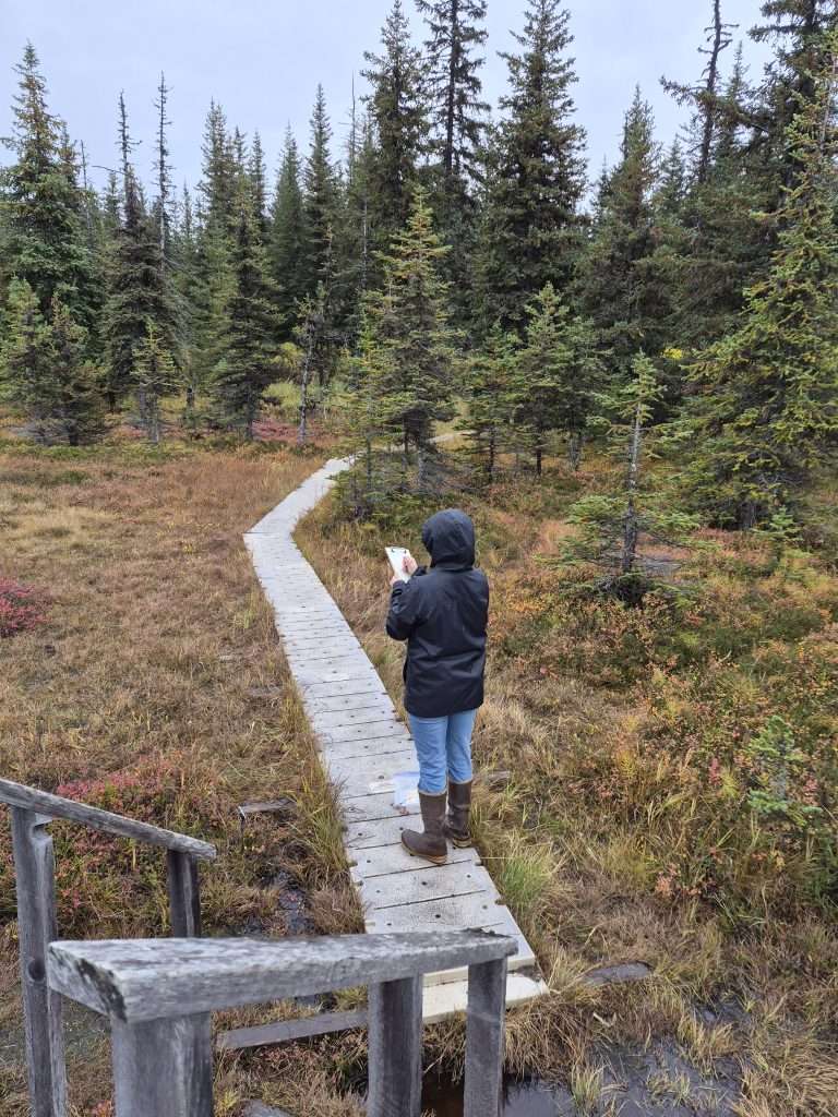 TOTE attendee journaling in nature in the peatlands
