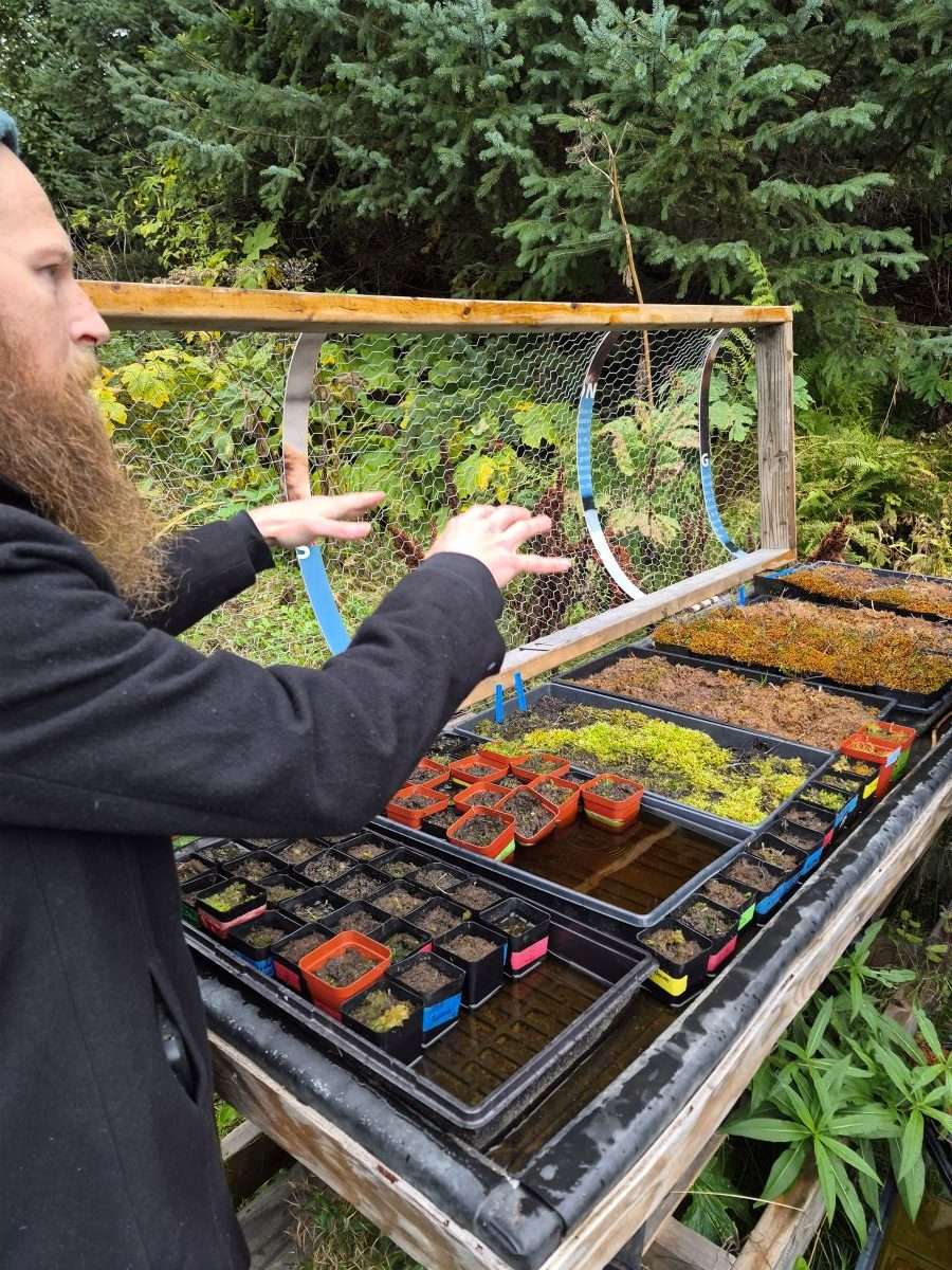 person pointing to small peat and orchids growing in planter box