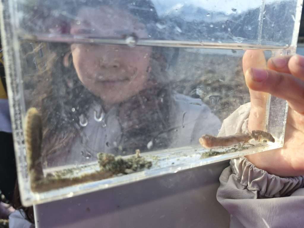 Student with photarium and fish inside.