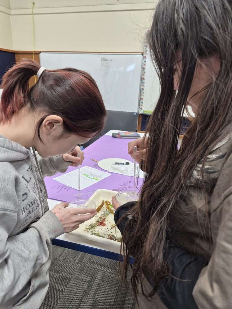 two students use pipets to put a sample in a petri dish