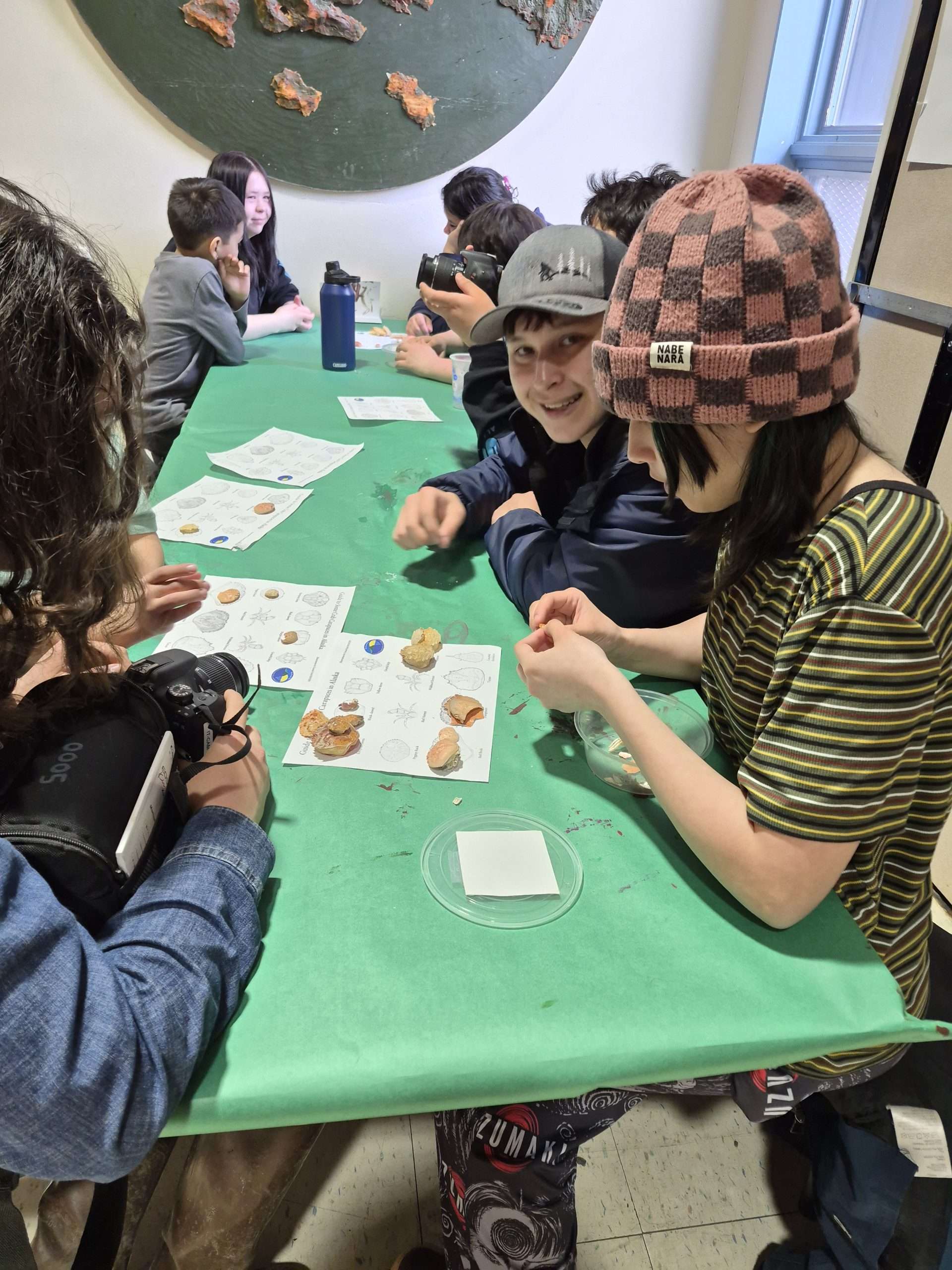 Students at table with native crab shells and ID guide