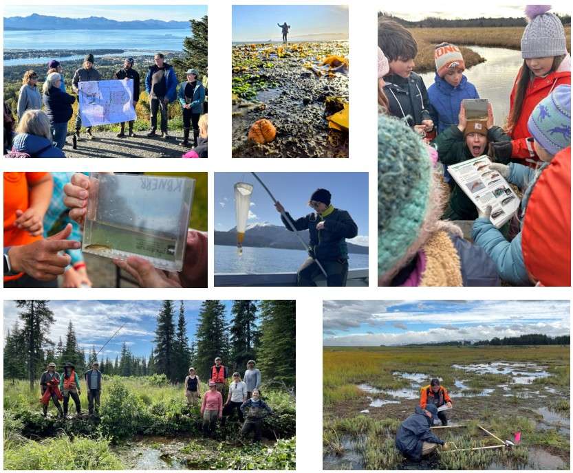 KBNERR_collage Compilation of 7 photos showing fieldwork in Kachemak Bay, beaver dams, and kids with baby salmon