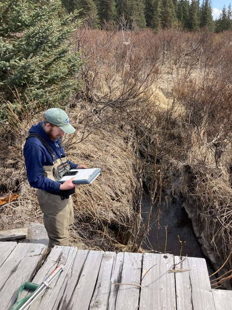 Field Researcher looks at clipboard near a creek with a boardwalk in the foreground