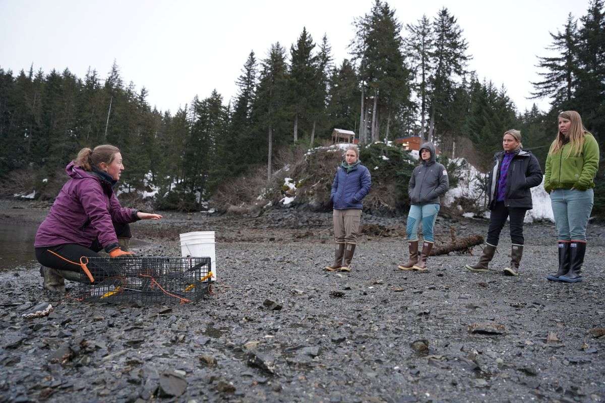 People gather for European green crab monitoring event