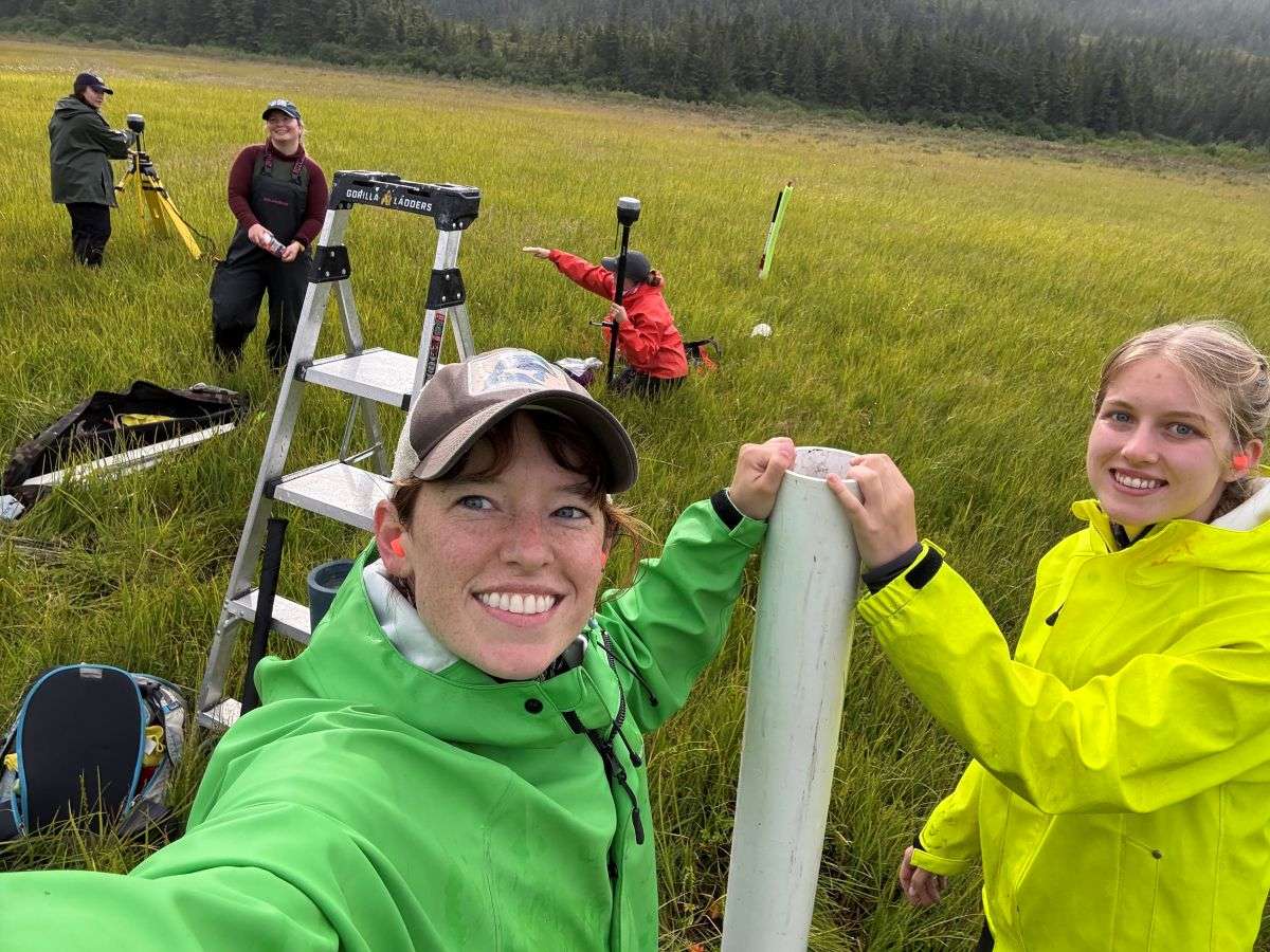 Researchers collecting sediment cores in tubes in salt marsh sedge meadow